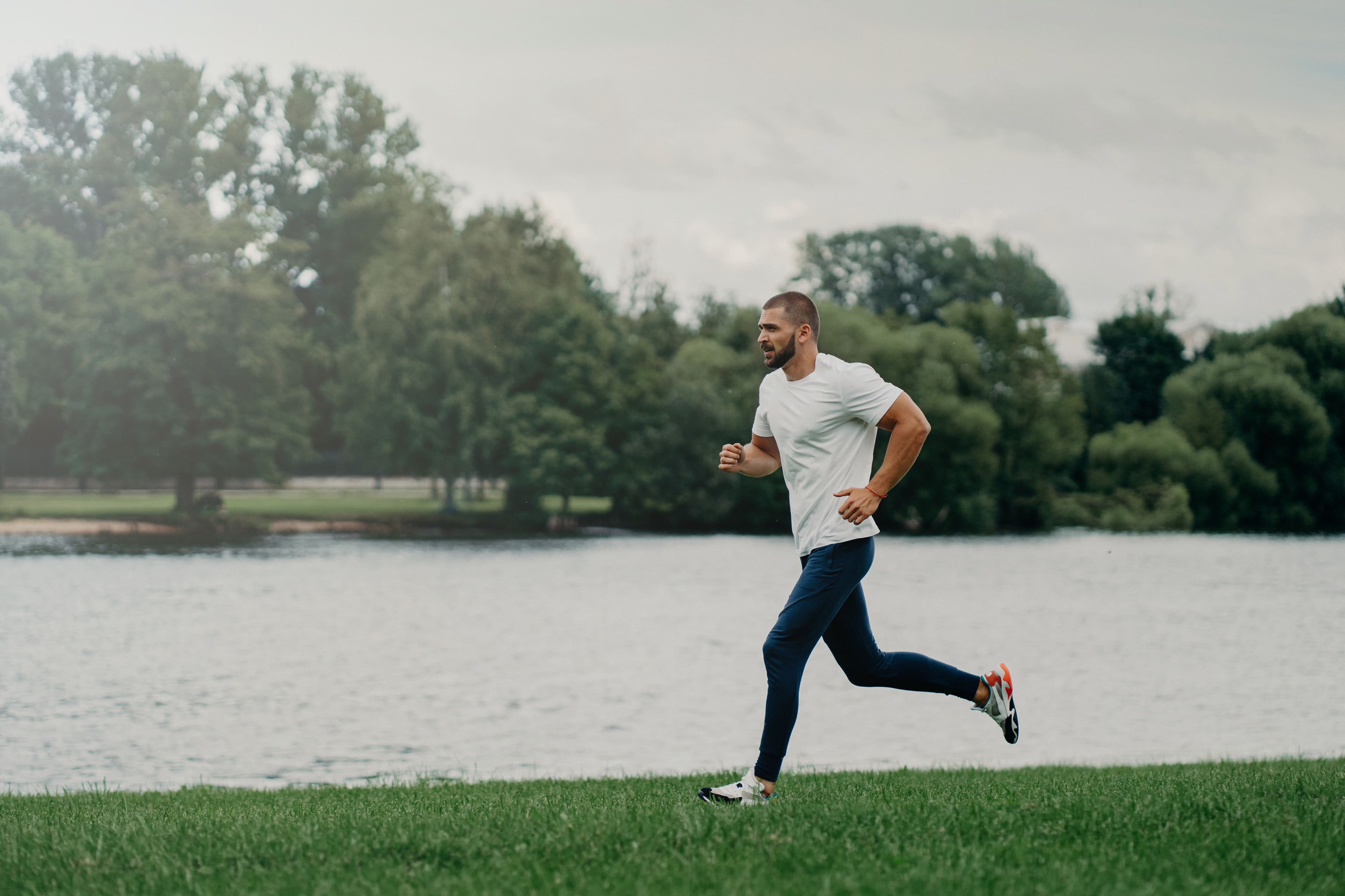 What Does NAD+ Do? A Simple Guide to the 'Energy Molecule' and Its Benefits